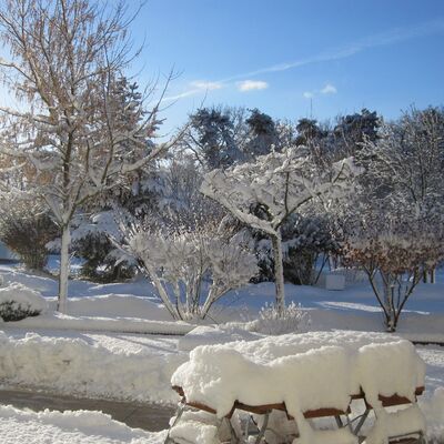 Verschneite Winterlandschaft